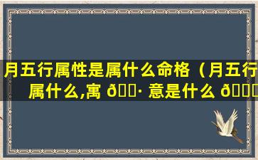 月五行属性是属什么命格（月五行属什么,寓 🌷 意是什么 🕊 ）